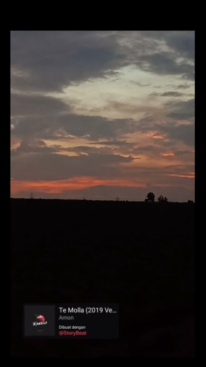 Story wa te molla 30 detik