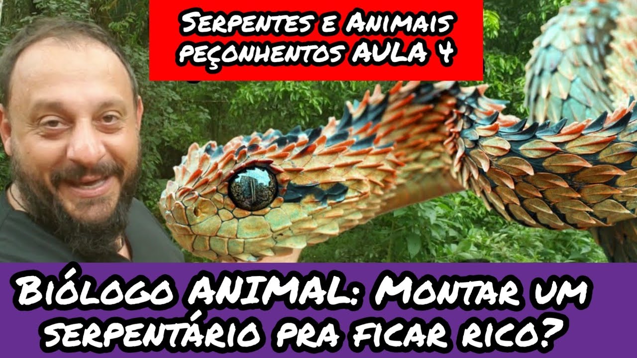 Biólogo ANIMAL: ganhar dinheiro com veneno de serpente? Serpentes e Animais peçonhentos. parte 4