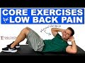 Best Core Exercises For Low Back Pain | Stenosis, Spondylosis, Spondylolysis, Spondylolisthesis