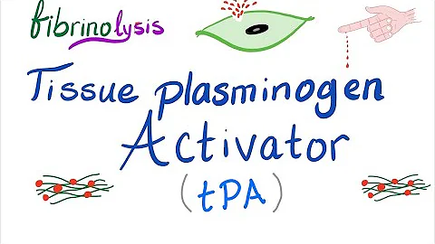 Tissue Plasminogen Activator (tPA) - Plasmin & Fibrinolysis - Coagulation - Hemostasis