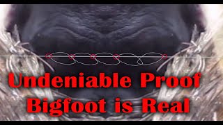 100% Undeniable Proof of Bigfoot.  Sasquatch is Real