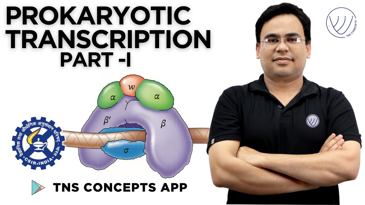 Prokaryotic Transcription Part I | Transcription In Prokaryotes | TNS CONCEPTS