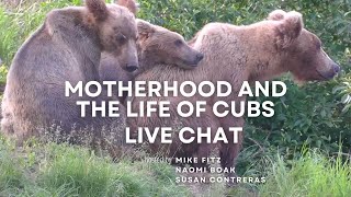 Bear Motherhood and the Life of Cubs | Brooks Live Chat