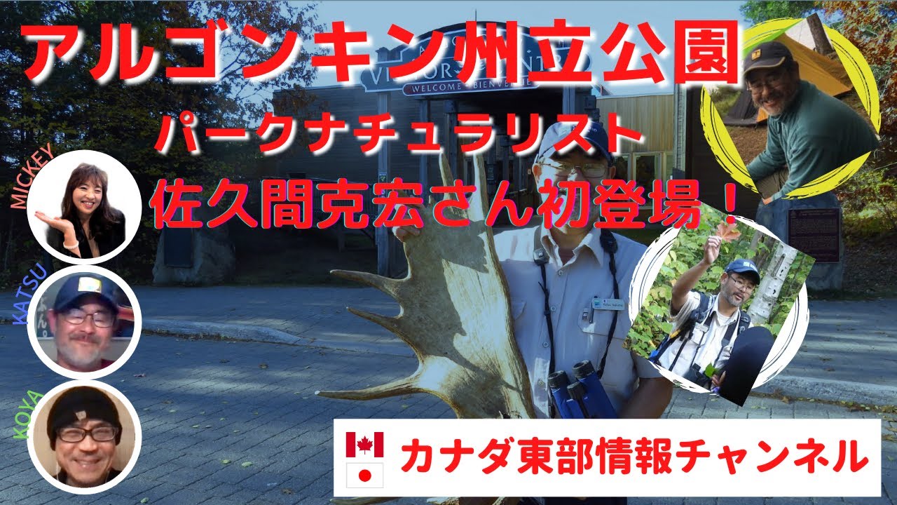 パークナチュラリスト 佐久間さん登場 Youtube パークナチュラリスト 佐久間さん登場 Youtube