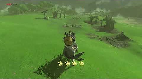 [DAY 136] of finding one korok seed everyday until Botw2 comes out