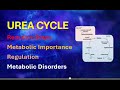 Urea Cycle: What You Need to Know!