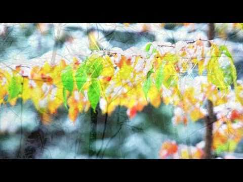 Ver Martian - To You en YouTube