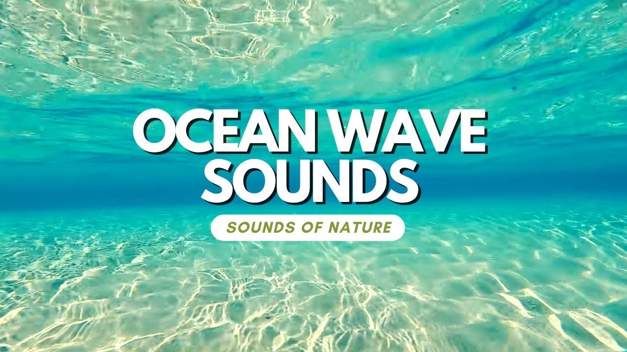 Guided Meditation. Relaxing Music. 1 hour of ocean wave sounds and coastal landscapes.