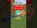 プロポーズなマインクラフト【歌ってみた】【マイクラアニメ】【銅のゴーレム】