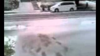 SNOW IN TUJUNGA CALIFORNIA