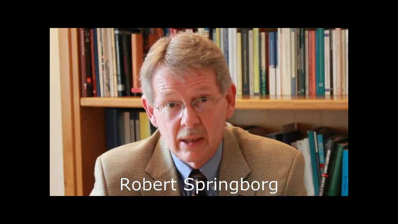 Robert Springborn Robert Springborg - Impact of Arab upheavals on Arab civil-military ...