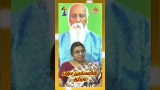 🧘♂️😎FIVE ELEMENTS சக்தி கிடைக்குது #pmctamil #freemeditation #meditationchannel #trending