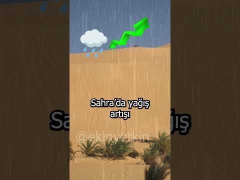 Video: Sahra səhrası amazonu mayalandırırmı?