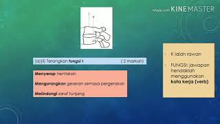 E-Bio Class: Pergerakan dan Sokongan. Biologi SPM Tingkatan 5 SPM