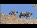 محمد رشدي لوعديت محمد رشدي لوعديت
