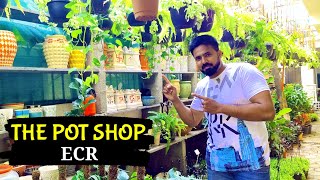 The Pot Shop ECR | Vertical Garden, Indoor Plants, Ceramic Pots, Return Gifts, Pot Stands, seeds