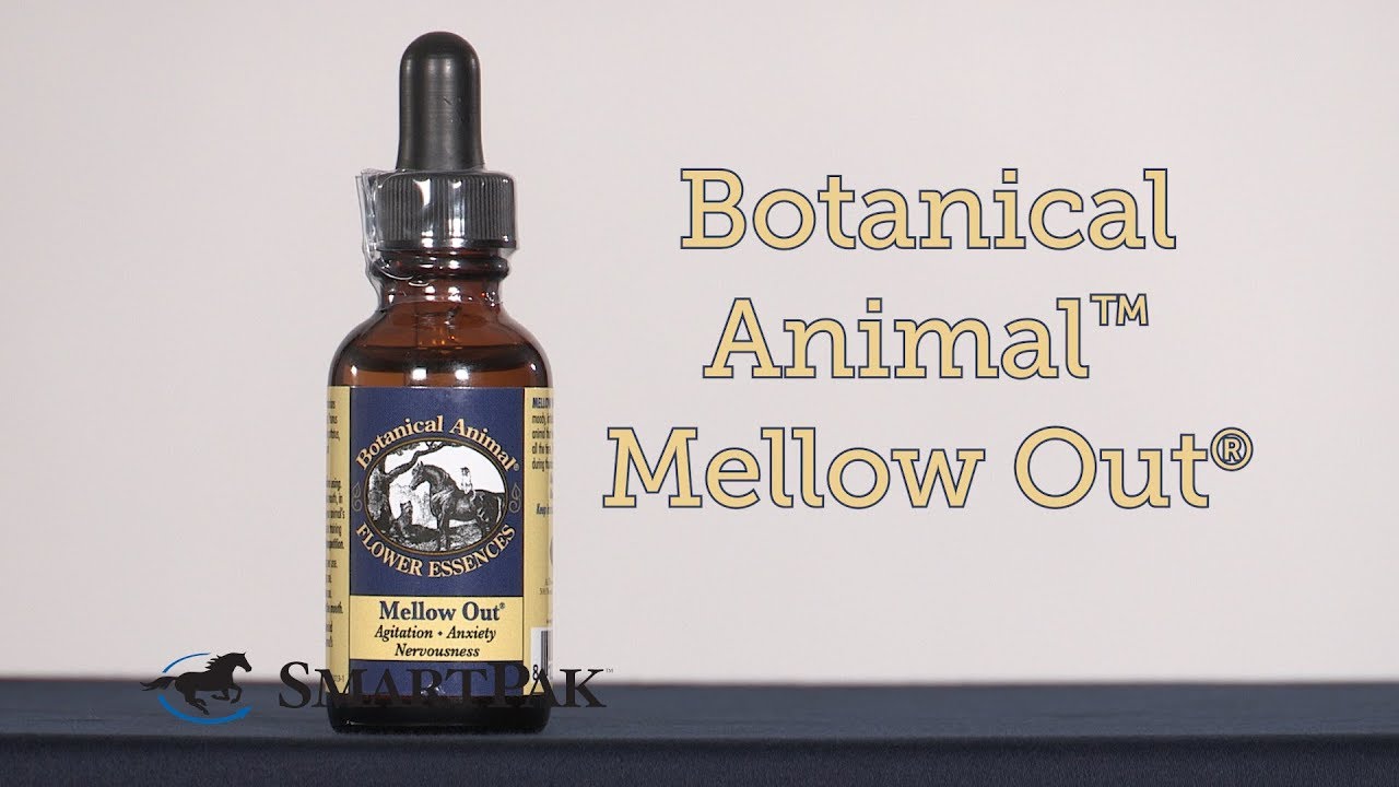Botanical Animal® Mellow Out™ Review