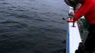 MVI_0940.AVI
