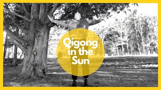Qigong in the Sun