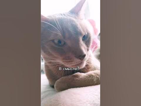 8 марта какого числа