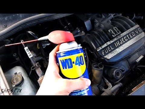 Video: Pot pune wd40 pe curea serpentină?