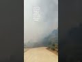 Incendio forestal en el Cerro del Águila, municipio de Tlahuiltepa