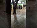 Barish ke din kab aaogey
