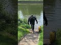 nachrichten