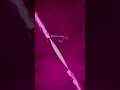 Shore Catch Pink Jig: 2024’s Tuna Slayer | 2025 UVT Colors Teaser #shorts