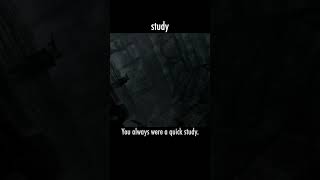 study — The Elder Scrolls V: Skyrim dialogue scene