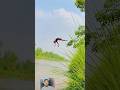 Darkht par chadh kar chhalang nahar min lagane ki shart lag gayi #ytshorts #viralvideo #nahar #pani