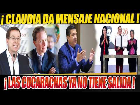 MORENA LO LOGRA !!SACAN LA APLANADORA, GOLPE NACIONAL LOS HACEN CORRER Y EL VERDE VA CONTRA CLAUDIA