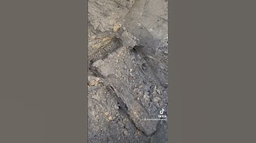 WW2 ammunition box metaldetecting