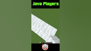 Java Players vs Bedrock Players #shorts