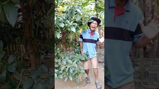 mau ketawa takut dosa masteran burung hiburan warga+62 kicau burung comedy funny Net Worth