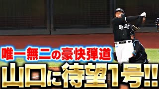 【唯一無二の弾道】山口航輝『待望の今季1号… “エスコン上段”に突き刺した豪快弾！』
