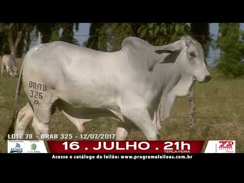 LOTE 078