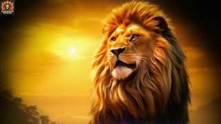 Experience the Serenity of Worship Grand Piano Music for Prayer, Meditation, and Spiritual Renewal