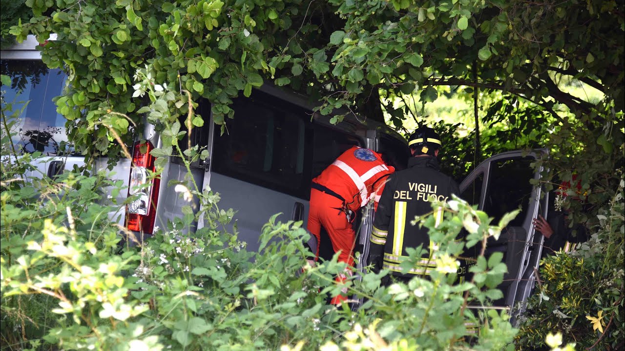 Tromello, il furgone esce di strada e finisce nella boscaglia: soccorso ...