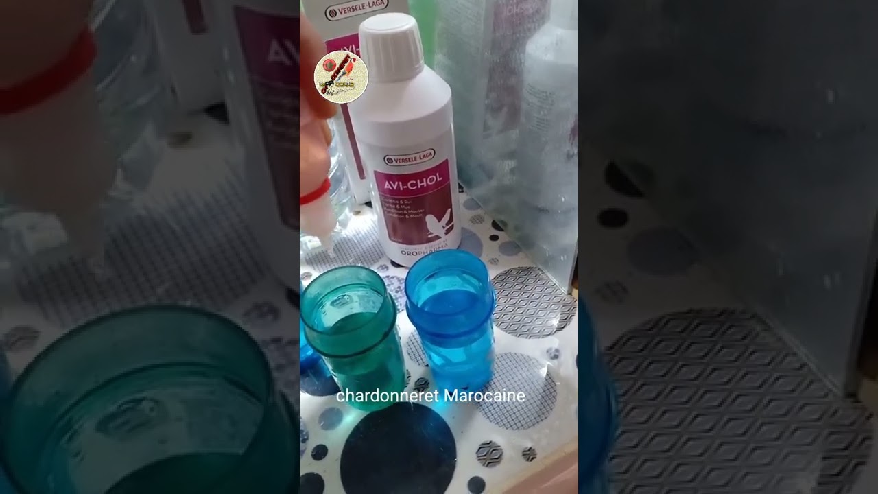 تقديم Avi-chol لطيور الحسون لتصفية الكبد من السموم