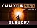 Guided Meditation for a Still Mind | Gurudev Sri Sri Ravi Shankar
