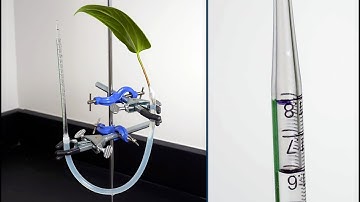 Measuring Transpiration Using a Potometer