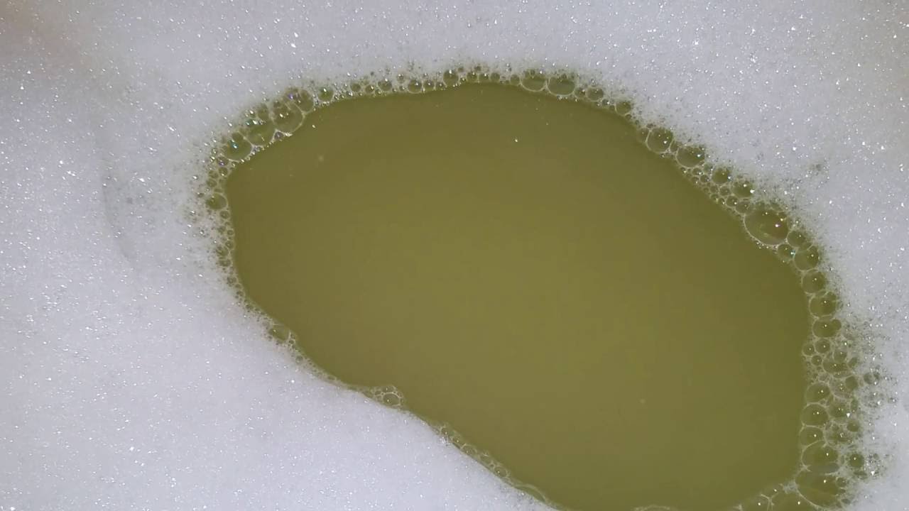 Lush honey bee cocktail yay YouTube