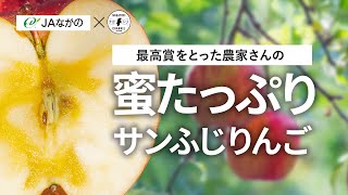 【長野県・山ノ内町】蜜のたっぷり入った サンふじりんご とは！？| ナガトリ