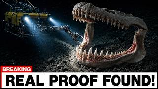 A Deep-Sea Robot Found a Megalodon Jaw — Then They Realized How Fresh It Was