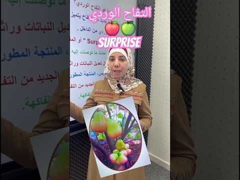 التفاح الوردي 