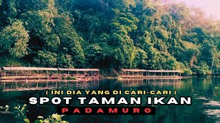 Download Lagu TAMAN IKAN LIAR WADUK CIRATA ORANG PADA BEREBUT DI SPOT INI - MANCING MANIA MP3 Download Lagu TAMAN IKAN LIAR WADUK CIRATA ORANG PADA BEREBUT DI SPOT INI - MANCING MANIA MP3