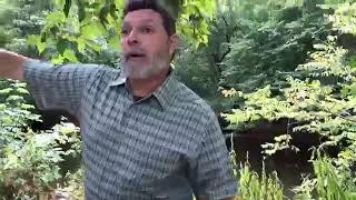 Gettysburg Campaign: Manassas Gap Railroad and its role in the Civil War (S1-Ep 6, Pt 2/3)