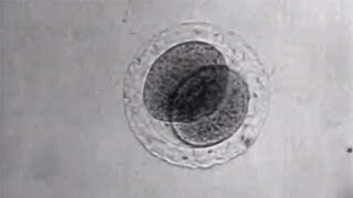 73E5608506E1117DDB50C360078389C68B08F4485E71B4B02CCA29A0F7D98F9D