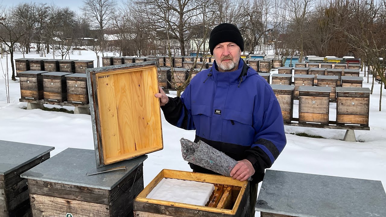 Час утеплювати бджіл. Beekeeping (15.02.2026 р.)